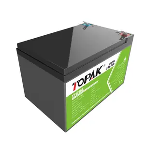 TOPAK 15Ah 12V Lithium-ion Battery Deep Cycle Lithium Batteries For Electric Bicycles Scooters 12.8volt Battery