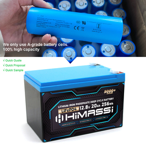 แบตเตอรี่ LiFePO4 12V 20Ah 30Ah พร้อมระบบ BMS ในตัว สำหรับเครื่องหาปลาแบบพกพา วิทยุแฮม พลังงานสำรองกลางแจ้ง ชุด OEM - Product Image 2