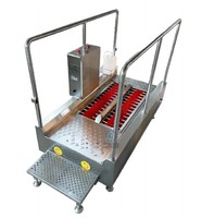 Machine automatique de lavage et de désinfection des bottes pour abattoir de bétail, équipement d'hygiène en acier inoxydable