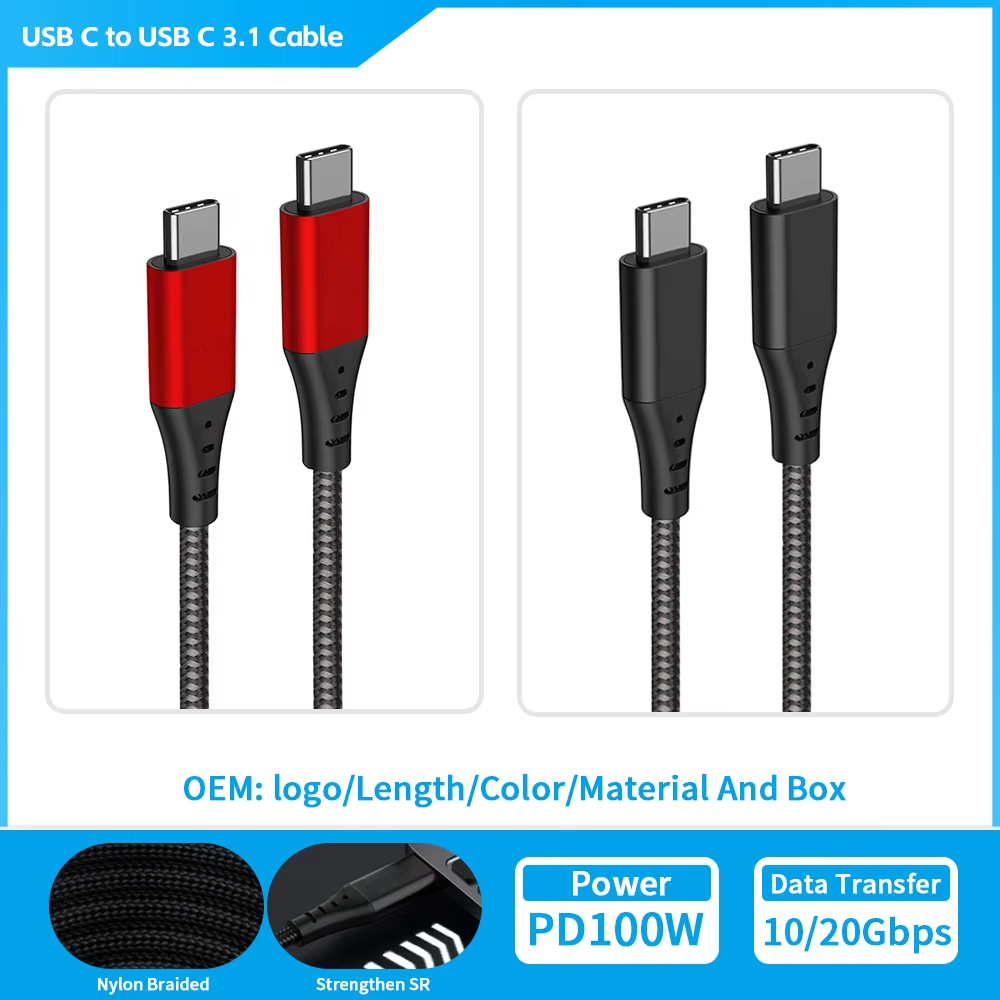 USB C vers USB C [10/20 Gbps 100W]