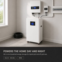 Système de stockage d'énergie domestique tout-en-un, hybride, empilable, hors réseau, 48V 314Ah LiFePO4, IP65, 16KWh, RS485 CAN WIFI, OEM ODM