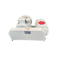 Blower Roots Besi Cor Tekanan Tinggi Rendah Kebisingan AC untuk Pompa Vakum Pabrik Pulp Kertas dengan Kustomisasi OEM dan 50Hz