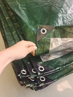 Bâche en PE 100% imperméable de haute qualité pour camion, couverture de chargement, bâche durable très vendue