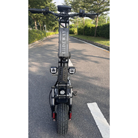 Trottinette électrique pliable à deux roues avec pneus larges de 13 pouces, double moteur, batterie au lithium, chargeur USB pour téléphone portable, avec siège