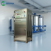 OZOTEK 50G generador de ozono de 100-145mg/L incorporado PSA oxígeno concentrador de purificación de agua