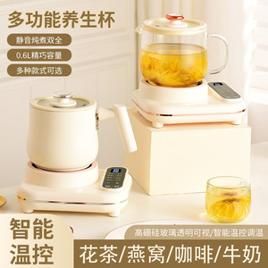 All Glass Electric Tea Maker 600Ml With Temperature Control And Auto Shut Off For Home Use - Product Image 5
