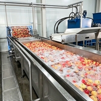 Ligne de traitement automatique complète du jus de pomme avec extracteur de jus |   Projet clé en main de stérilisation UHT et de remplissage aseptique