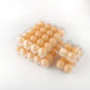 Emballage d'oeufs en plastique à bas prix plateau d'emballage d'oeufs de poulet de haute qualité 6/8/10/12/15/30 cellules à vendre