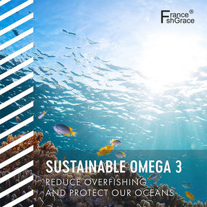 Nouveauté Extrait d'huile d'algues à base de plantes durable sans mercure 60 Gélules pour hommes et femmes Gélules d'huile d'algues - Product Image 3