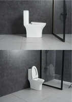 Vente directe usine : WC monobloc en céramique, à poser au sol, avec abattant à fermeture douce, facile à nettoyer, économie d'eau
