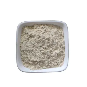 Enzymatic Oat Powder High Quality From Bigtree Brand China