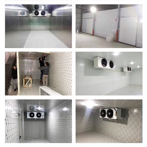 Dondurucu depolama ünitesi soğutucu buzdolabı konteyner içinde yürümek 75mm 100mm PU paneli sandviç çelik Panel soğuk oda