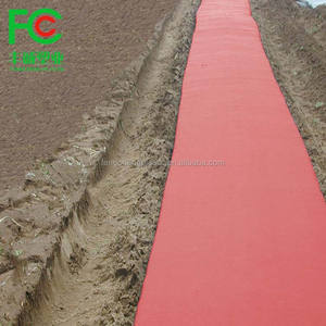 Paillis de tomates rouges, film de paillage en plastique noir, couverture du sol agricole, prix du rouleau de film de paillage bon marché - Product Image 6