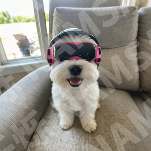 Casque de moto pour animaux de compagnie avec lunettes de protection pour chiens et chats, équipement de sécurité pour la conduite en plein air, accessoires pour petits animaux, en plastique durable, rond - Product Image 2