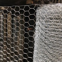 Filet de protection hexagonal en treillis métallique pour animaux sauvages, grillage à poules, filet métallique hexagonal, couverture anti-oiseaux pour vergers et protection des fruits