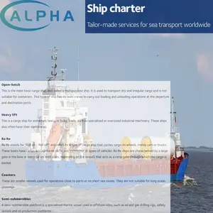 Agente de Transporte Aéreo/Marítimo Profesional para Mercancías Peligrosas y Maquinaria Delicada, con Protección Antichoque y Gran Tamaño - Product Image 4