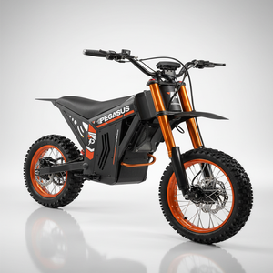 <span class=keywords><strong>Moto</strong></span> tout-terrain électrique exclusive Pegasus en dropshipping, vitesse maximale de 55 km/h, puissance de 2000 W, scooter à deux roues électronique - Product Image 1