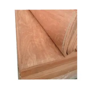 Different types of rotary cut wood face veneer gurjan /keruing/okoume/PLB/PQ/PA/BNG/birch/water gum/ash