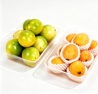 Barquettes alimentaires jetables en plastique PET, boîtes blister pour viande fraîche, poulet, gâteaux, pain, légumes, fruits de mer, emballage agricole