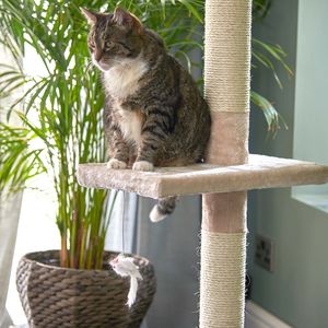 Grand arbre à <span class=keywords><strong>chat</strong></span> pour stimuler la nature grimpante des chats - Meilleures ventes - Product Image 4