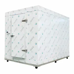 Salle de stockage frigorifique commerciale mobile Entrepôt Salle de stockage frigorifique des aliments Congélation des cadavres Entrepôt frigorifique