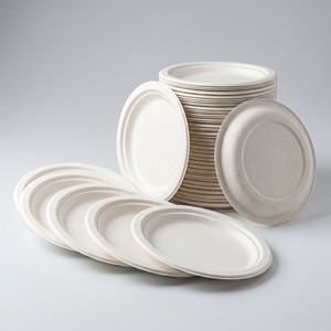 Piatti Compostabili in Bagassa di Canna da Zucchero, Rotondi da 8 Pollici, Stoviglie Biodegradabili Monouso per Antipasti - Product Image 2