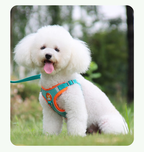 Harnais anti-évasion pour chien avec poignée, sangle de sécurité réfléchissante, gilet rembourré réglable pour grands chiens, Pitbull, Husky, Senior - Product Image 4