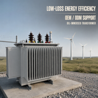 Transformateur triphasé immergé dans l'huile S22 pour les projets d'électrification industrielle et rurale des postes de transformation – Transformateur de puissance
