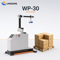 Robot de palettisation WP-30, cobot collaboratif, palettiseur de cartons automatique, empileur de boîtes de cartons, équipement logistique d'entrepôt