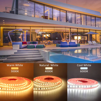 AC 220V Led Bande Lumière Extérieure Étanche Haute Qualité SMD 2835 120LED IP65 Blanc Chaud Blanc Lumière 3000K 4000K 6500K