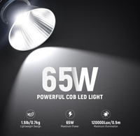 NEEWER MS60 65W Lumière COB Continue, Contrôle par APP 2.4G, 9 Modes de Scène, Gradation 0-100, Adaptateur Monture Bowens