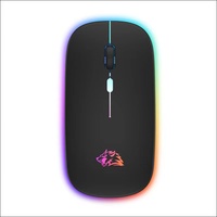 Accessoires informatiques Ordinateur portable de bureau chargeant la souris de jeu lumineuse Free Wolf X15 Mute Wireless Mouse