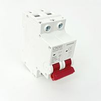 Disjoncteur série DZ47 MCB 1P 2P 3P 4P 6A-63A, capacité de coupure 6kA, protection contre les courants résiduels, petit et portable