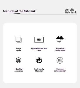 אקווריום אקרילי מלבני מודרני שקוף, מיכל צבים דקורטיבי לשולחן עבודה, לאקווריום דגים לסלון ולחדר שינה - Product Image 5