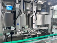 Ligne de production de machines de remplissage de pâte de tomate entièrement automatiques, machine de remplissage à deux têtes avec suivi des emballages