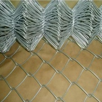 Malla de Alambre Galvanizado de Alta Calidad de 6 Pies para Cercas Metálicas de Jardín