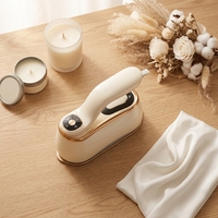 Défroisseur Vapeur Électrique Portable en Céramique avec Poignée Rotative pour Vêtements, Idéal pour la Maison et les Voyages