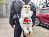 Mainan Simulasi Kucing Calico Realistis