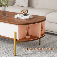 Table basse relevable moderne sur mesure OEM/ODM avec grand compartiment caché, plateau en bois et pieds en métal, étagère ouverte pour salon