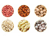 Gelgoog 150 Kg/H Machine industrielle pour éplucher les amandes Machine à éplucher la soie de coque en Inde ou les amandes blanchies