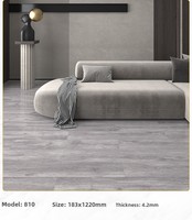 Revêtement de sol SPC (Stone-Plastic Composite) à clipser, pour usage domestique, 5 mm, style carrelage, pose directe, imperméable, antidérapant, ignifuge, moderne