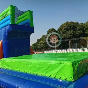 Parc d'attractions carrousel gonflable maison de rebond parc d'attractions sport gonflable têtes lancer jeu
