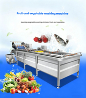 Volledig automatische bubbelwasmachine |   Groente- en fruitreinigingslijn voor voedselfabrieken