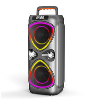 Sistem PA Nirkabel Karaoke Outdoor 12 Inch, Speaker Camping dengan Lampu LED RGB Isi Ulang, Kabinet Plastik