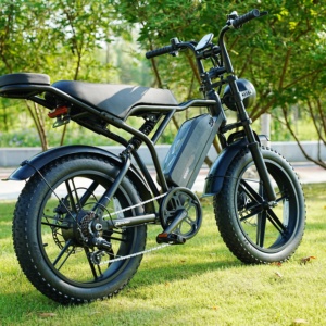 Vélo électrique à faible entretien pour adultes, haute vitesse, longue durée de vie de la batterie, moto électrique tout-terrain pour adultes, promenades estivales fraîches - Product Image 2