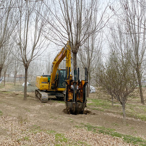 Shandong Factory <b>Tree</b> Spade Skid Steer & Excavator 6 Ton Suitable 800kg <b>Weight</b> <b>Tree</b> Transplanter Machine - Product Image 4