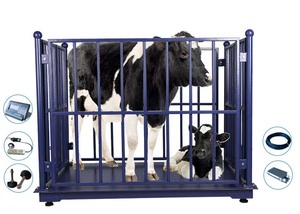 1500 kg Livestock Sheep Weighing Scale Digital Livestock Scale with Two <strong>Doors</strong> - Product Image 3