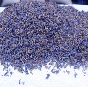 Flor de <span class=keywords><strong>lavanda</strong></span> seca natural 100% Flores de <span class=keywords><strong>lavanda</strong></span> secas reales con precio al por mayor - Product Image 2