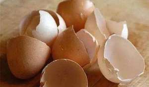 Extracto <span class=keywords><strong>de</strong></span> <span class=keywords><strong>membrana</strong></span> <span class=keywords><strong>de</strong></span> cáscara <span class=keywords><strong>de</strong></span> <span class=keywords><strong>huevo</strong></span> <span class=keywords><strong>Polvo</strong></span> <span class=keywords><strong>de</strong></span> <span class=keywords><strong>membrana</strong></span> <span class=keywords><strong>de</strong></span> cáscara <span class=keywords><strong>de</strong></span> <span class=keywords><strong>huevo</strong></span> <span class=keywords><strong>de</strong></span> buena calidad - Product Image 3