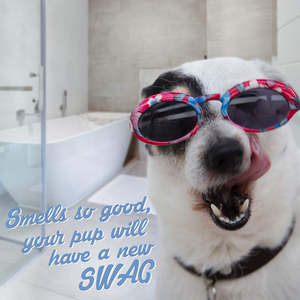 OEM Özel Etiket Doğal Yulaf Ezmesi <span class=keywords><strong>Aloe</strong></span> Köpek Yavrusu Evcil Hayvan Şampuanı ve Saç Kremi Bakım Cilt Tedavisi Organik Köpek ve Kedi Şampuanı - Product Image 2